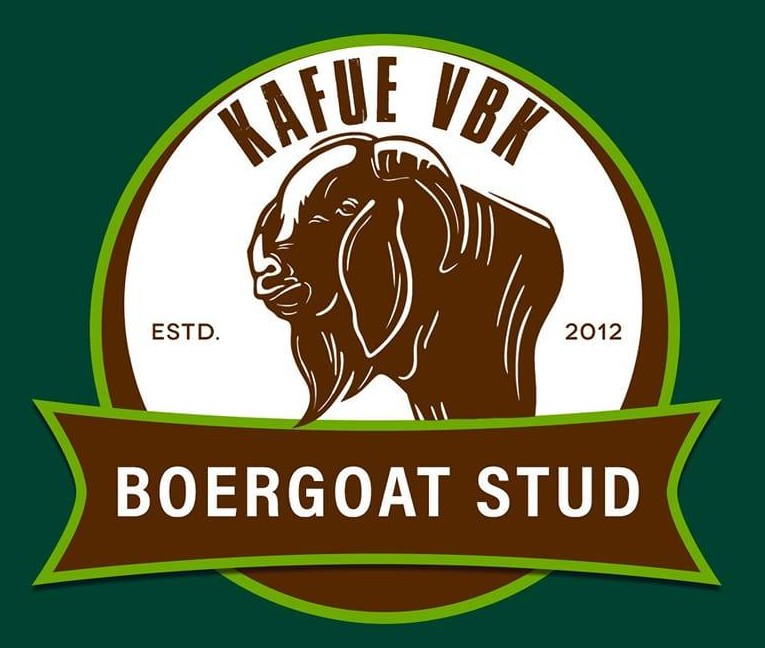 Partner 5 KAFUE VBK Boergoat STUD